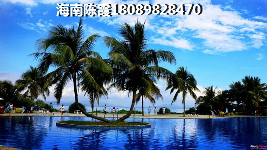 石屏县纸得尝试街头小吃有哪些（石屏好吃的小吃店）
